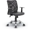Budget Mesh Task Chair W/ T-Arms