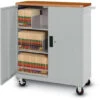Deluxe Transport Cart With Locking Doors 2 Deluxe Transport Cart With Locking Doors -Office Supplies Shop DFC T4D 1