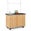 Economy Mobile Lab Table W/ Sink & Uprights -Office Supplies Shop DST 411 1