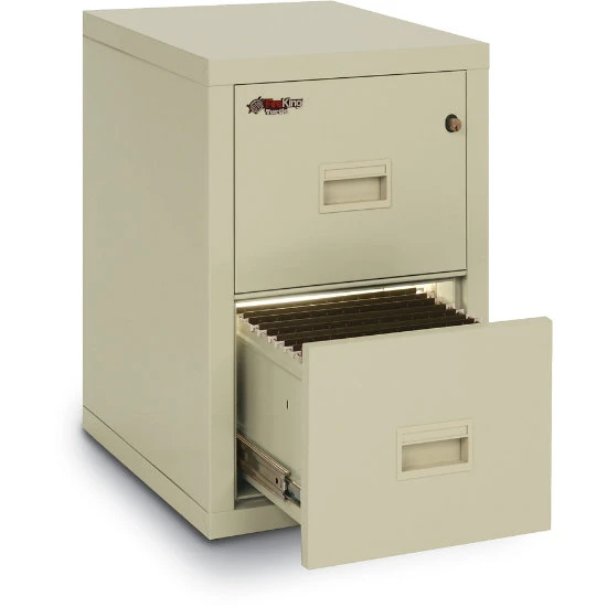 Fire-Resistant 2 Drawer Turtle Vertical File 3 Fire-Resistant 2 Drawer Turtle Vertical File