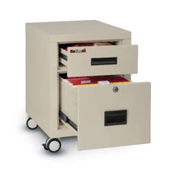 FireKing Fireproof 2-Drawer Mobile File