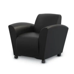 Santa Cruz Mobile Lounge Chair