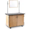 Mobile Science Cabinet - With Inner Drawers & Shelf, Chem-Res Top And Whiteboard / Mirror 1 Mobile Science Cabinet - With Inner Drawers & Shelf, Chem-Res Top And Whiteboard / Mirror -Office Supplies Shop NPMSC 2W 1