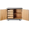 Mobile Science Cabinet - With Inner Drawers & Shelf, Chem-Res Top 1 Mobile Science Cabinet - With Inner Drawers & Shelf, Chem-Res Top -Office Supplies Shop NPMSC 2 1