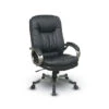 Executive Eco-Leather Chair With Padded Arms And Coated Frame 1 Executive Eco-Leather Chair With Padded Arms And Coated Frame -Office Supplies Shop OSAD 83 1
