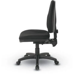 Dual-Function Ergonomic Chair With Adj. Back Height -Office Supplies Shop OTFF 20 4