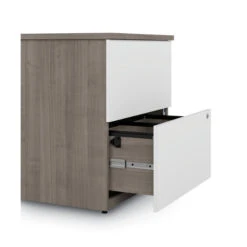 Ridgeley 28W 2 Drawer Lateral File Cabinet -Office Supplies Shop RDG 600 3