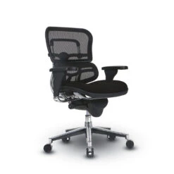 Ergohuman Mid-Back Fabric Seat With Mesh Back