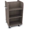 Mobile Double Sided Book Truck W/ 2 Angled Shelf -Office Supplies Shop WBN BD6A 1